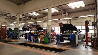 F.H. "OLEJ" KAMIL WOLAK (SKP, serwis samochodowy Pon-Pia 7-16)